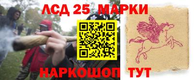 шишки Ирбит