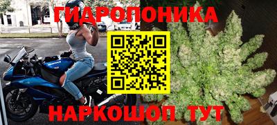 шишки Ирбит