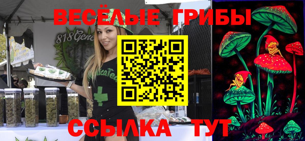 Южноуральск  Галлюциногенные грибы мухоморы  Вход с VPN 