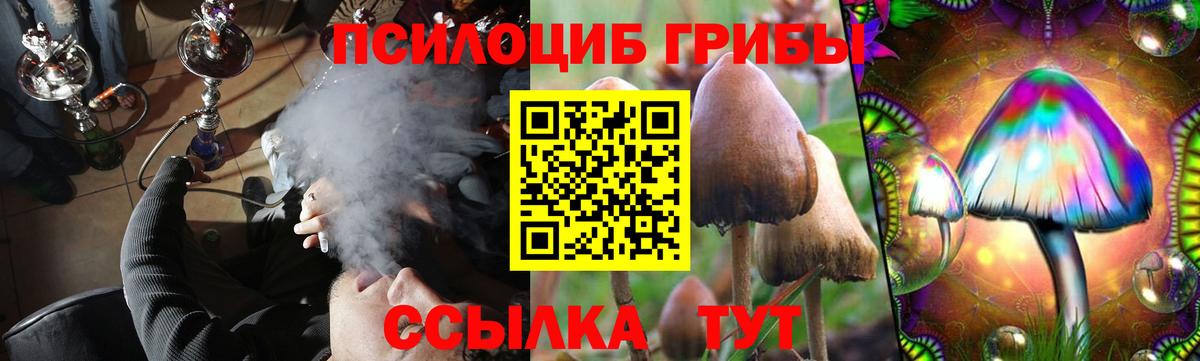 Псилоцибиновые грибы мицелий Южноуральск